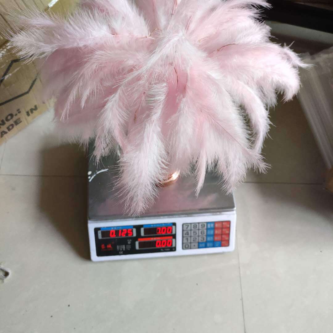 18392963903_443645595